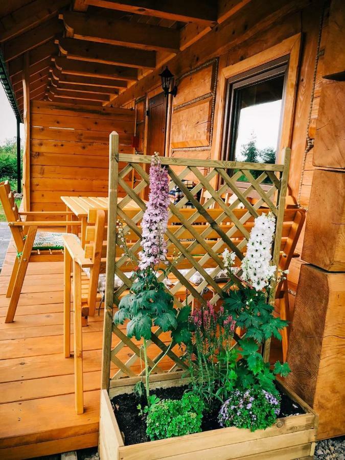Bieszczadzkie Chatki - Willa Stasia Ustrzyki Dolne Exteriör bild